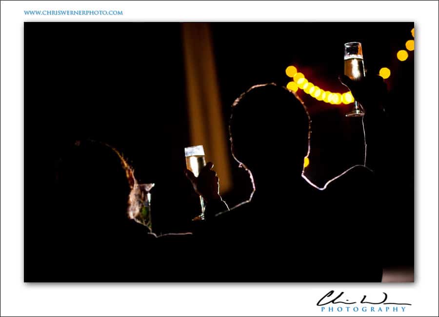 Bride and Groom make a toast during the reception, Upstate New York Wedding.