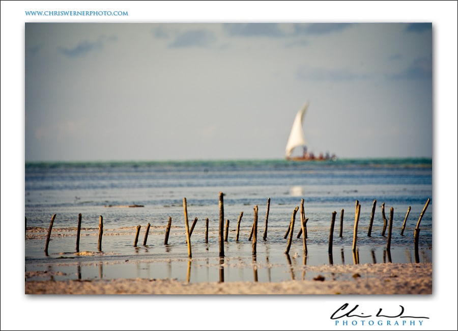 Zanzibar Beach Photography
