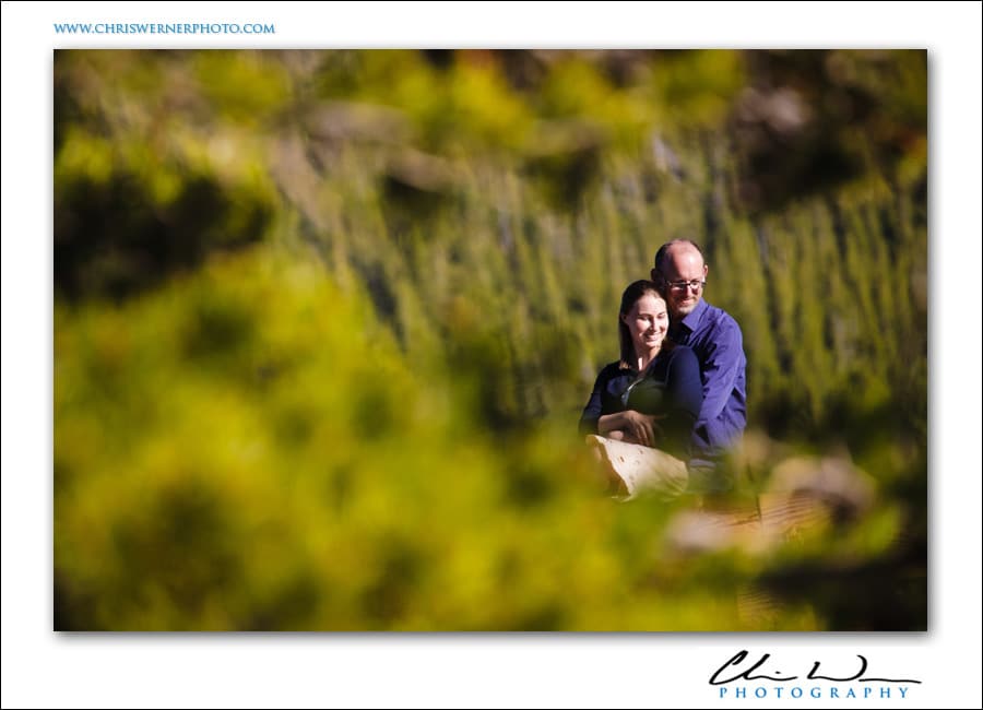 Yosemite Engagement Photography.