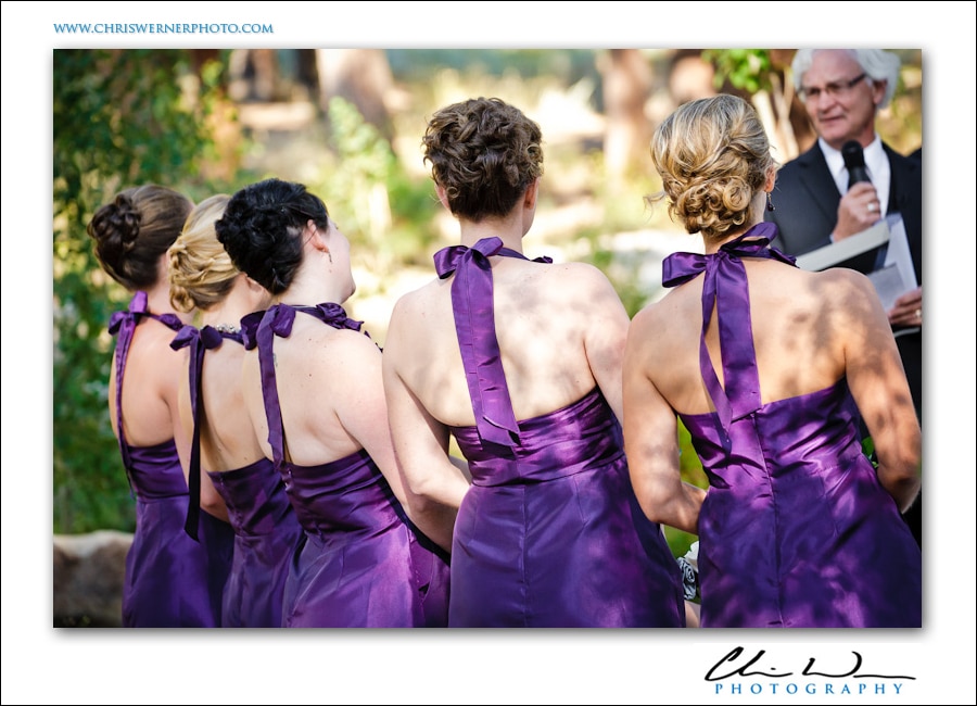 Purple Bridesmaid dresses at an outdoor mountain wedding.