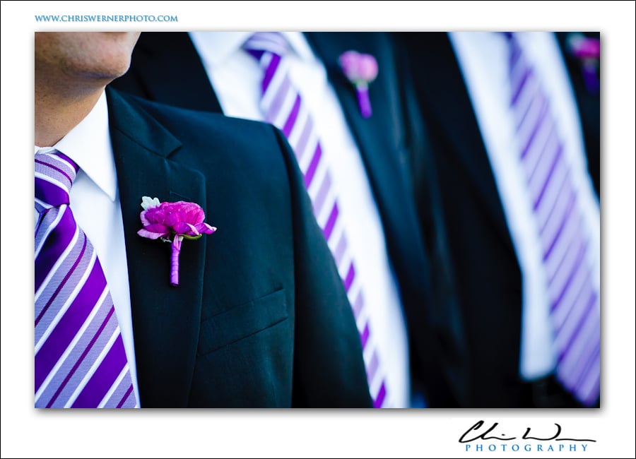 Photograph of the groomsmens' boutionnieres and ties, Presidio Wedding Photography.