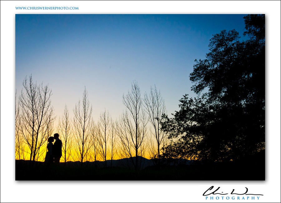Sunset Napa Valley Engagement photos.