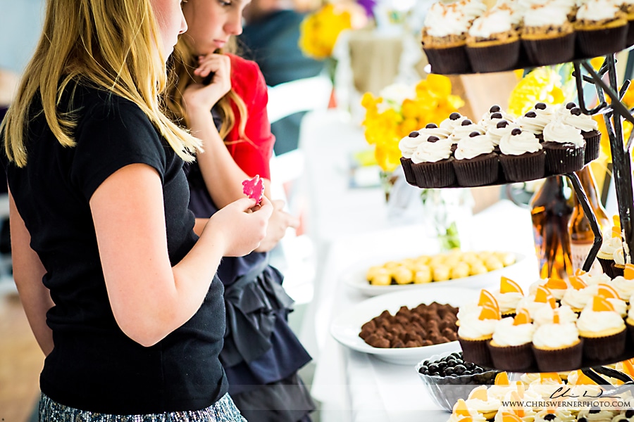 Wedding desserts at the reception, Mammoth Lakes Photographer.