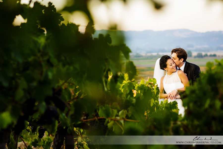 Bride and groom portraits at the Viansa Winery, by Wedding Photographers Napa Valley.