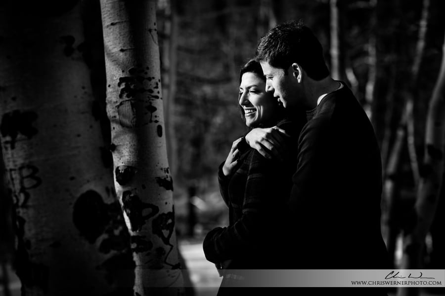Outdoor couples portraits in Lake Tahoe, Truckee, and Tahoe City.