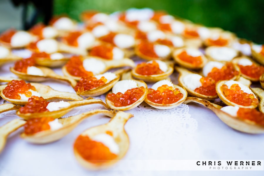 Caviar wedding reception appetizers