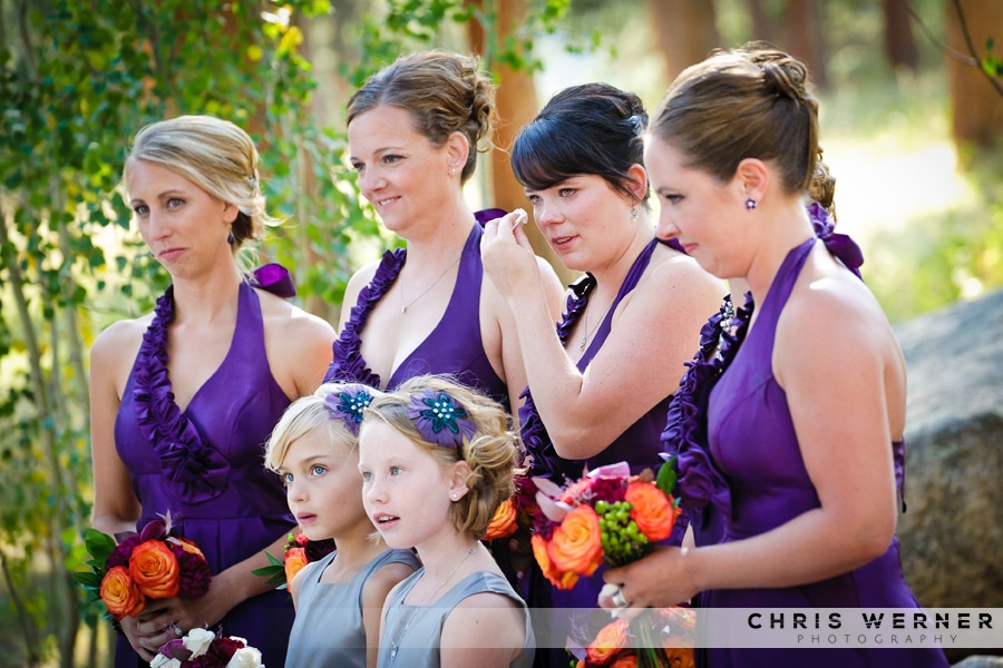 Purple bridesmaid dress ideas.
