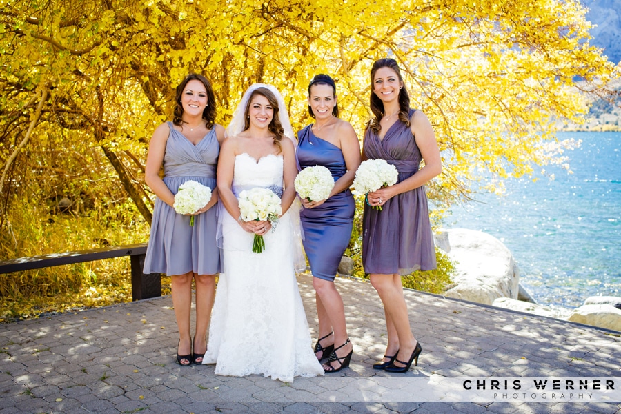 Fall wedding colors- purple bridesmaid dresses.