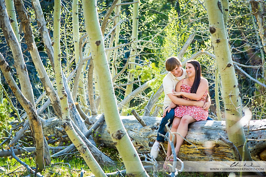 Nicole & Michael: Lake Tahoe Engagement Photography
