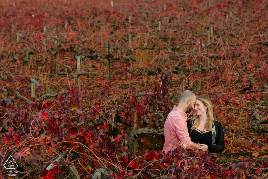 One of the winning points of a California Wine Country engagement photos award is vivid colors and contrasting the subject with the background.