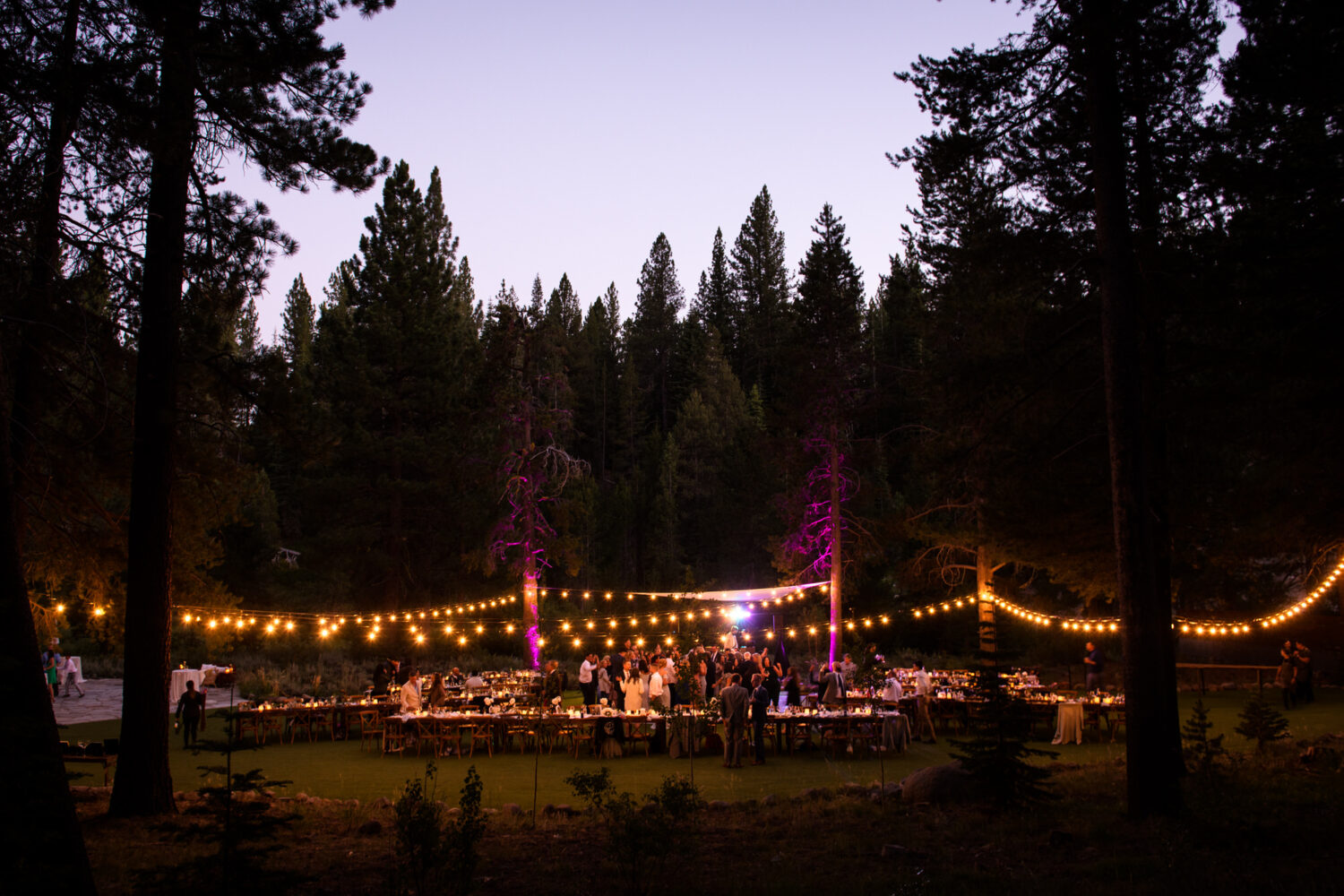 Wide angle view of the outdoor reception space at Dancing Pines with string lights. 