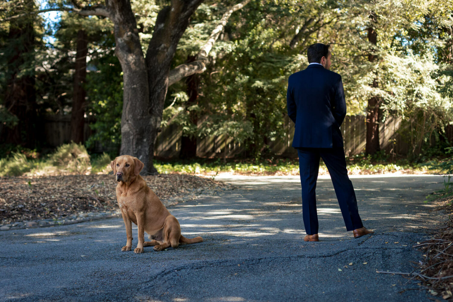 A brown labrador dog ring bearer and the groom wait for the bride.