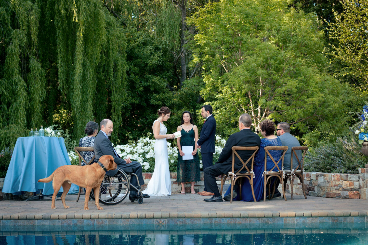 Wide angle view of a poolside Bay Area backyard wedding with immediate family.