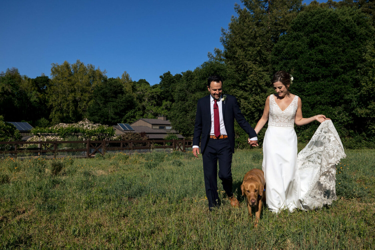 Backyard wedding with a dog.
