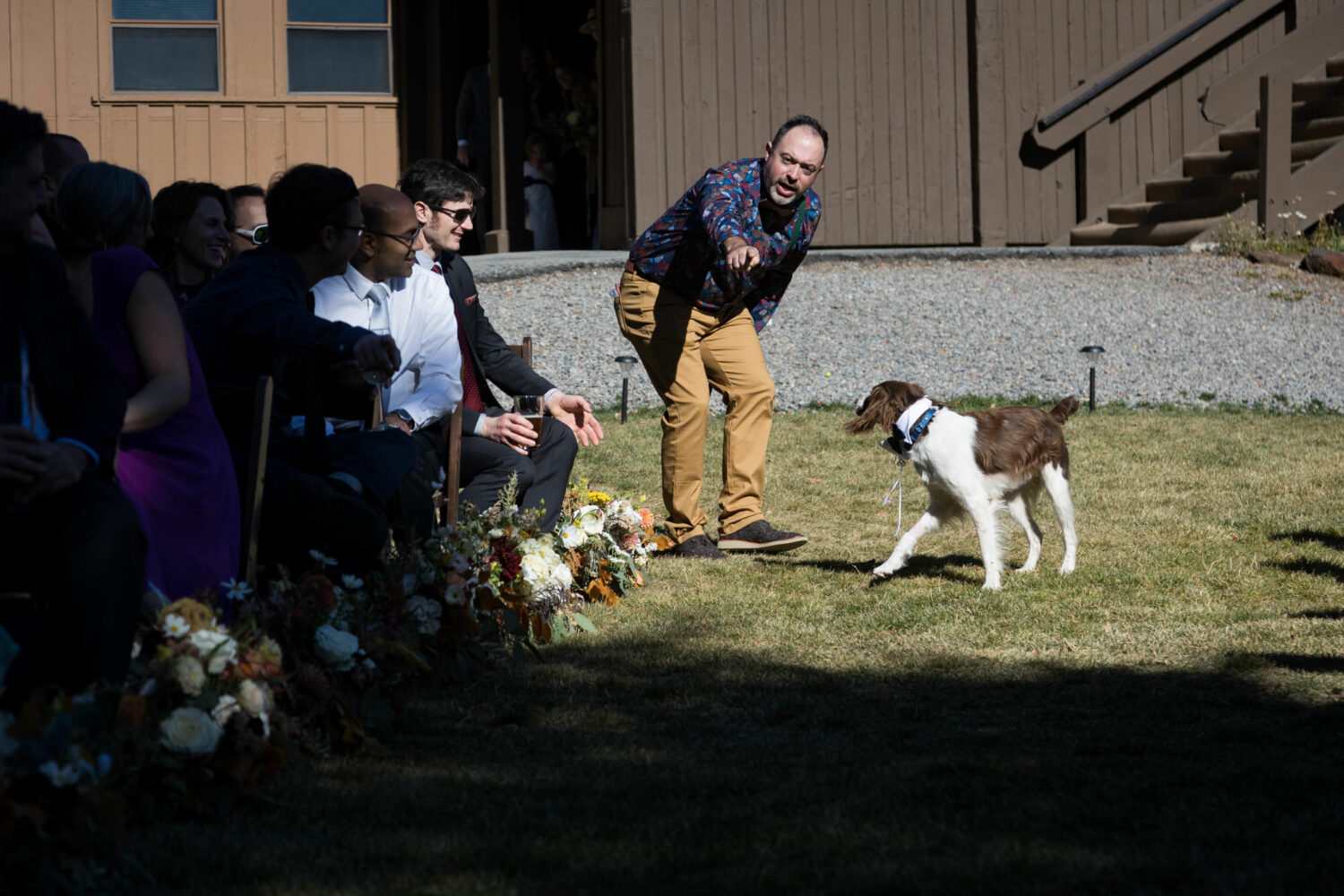 Telling the dog ring bearer to walk down the aisle.