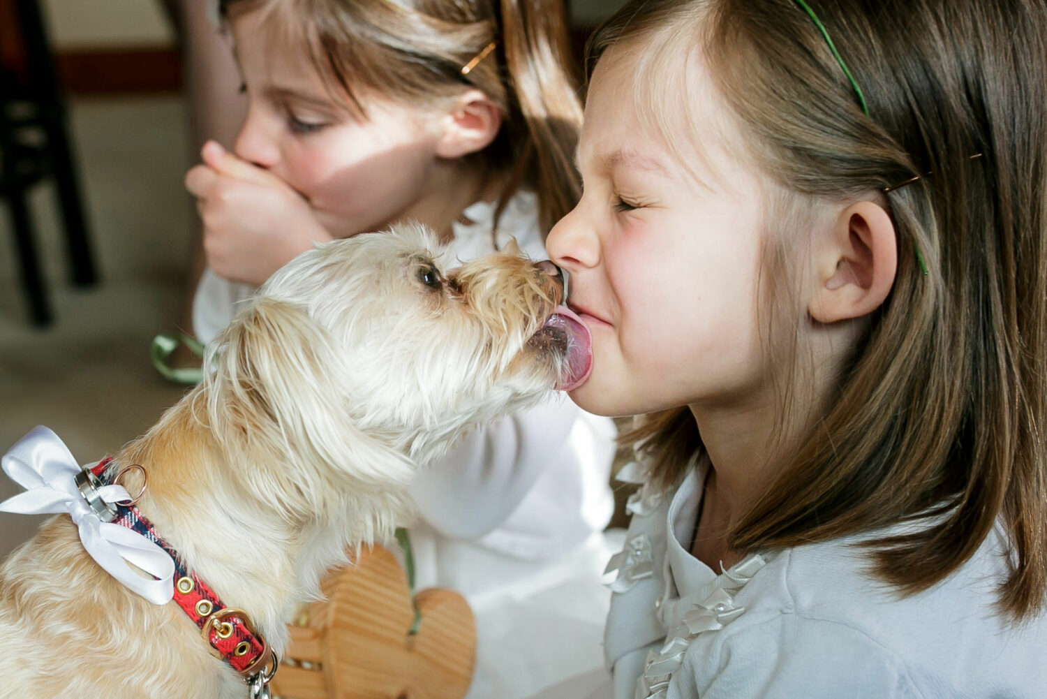 Dog licking a flower girl's face.