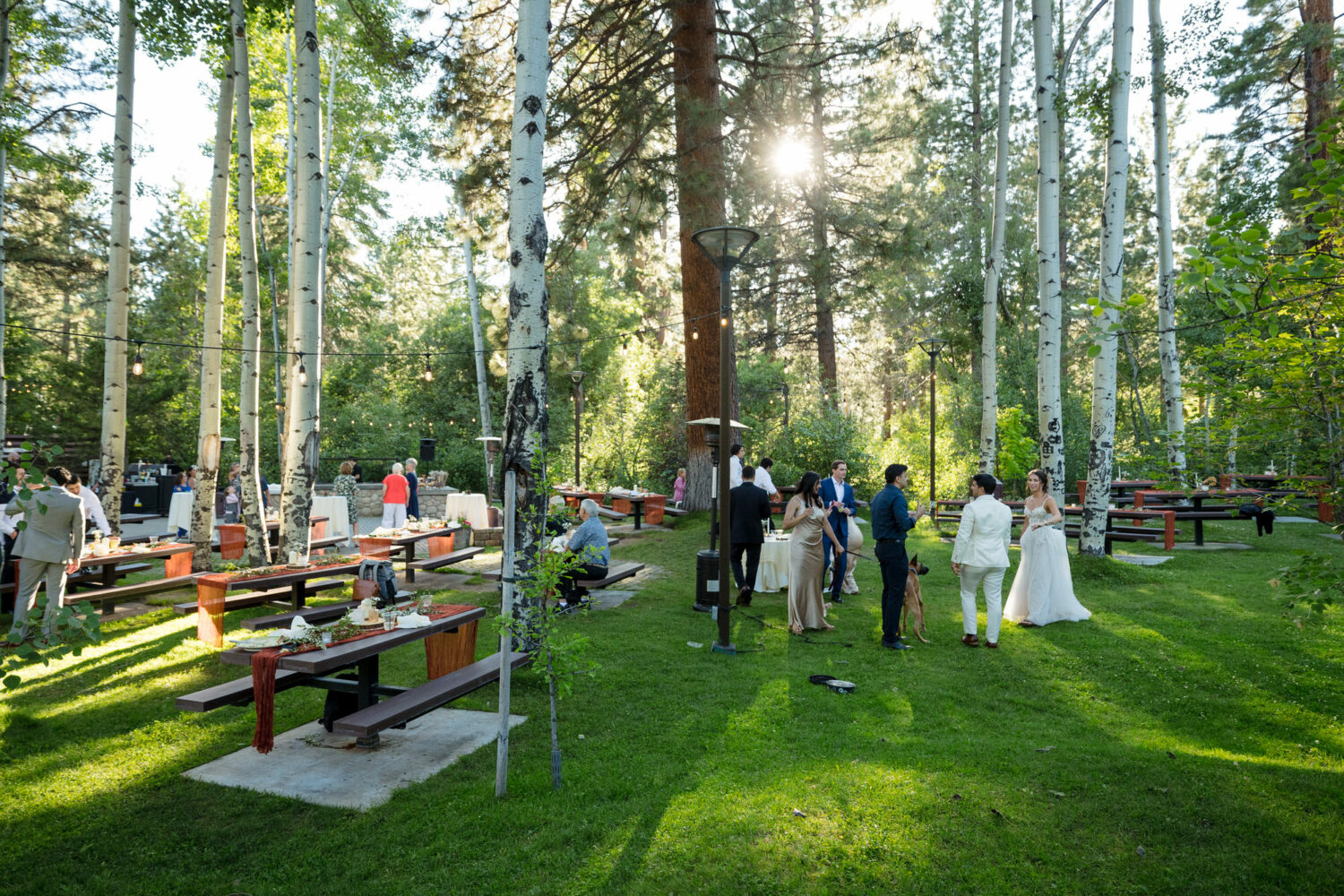 Aspen Grove is a beautiful forested summer wedding venue in North Lake Tahoe featuring picnic tables on a large grassy lawn.