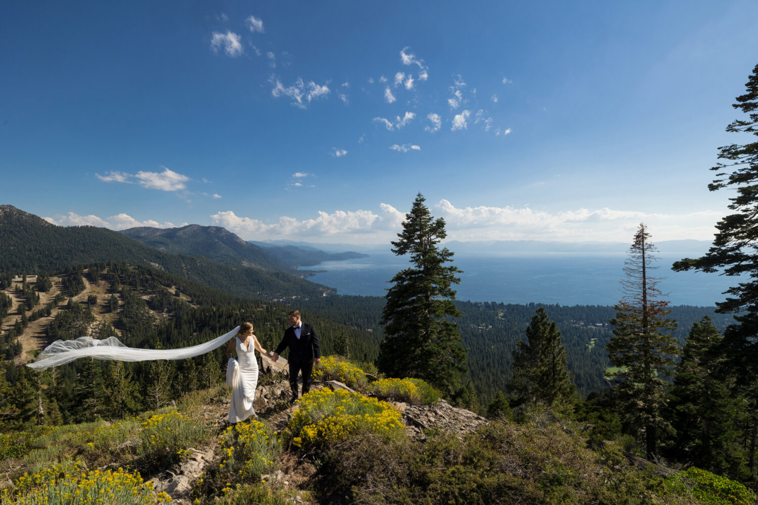 A bride and groom that decided to get married in Incline Village enjoy a romantic walk on a mountain above Lake Tahoe.