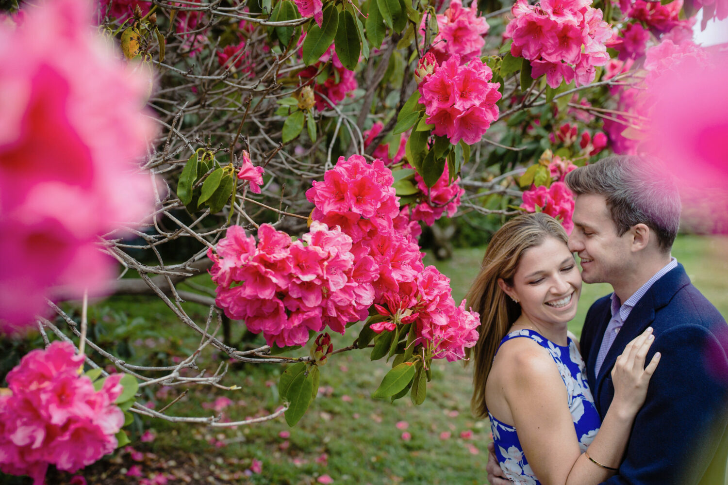 Engagement photoshoot with Rhododendron flowers.