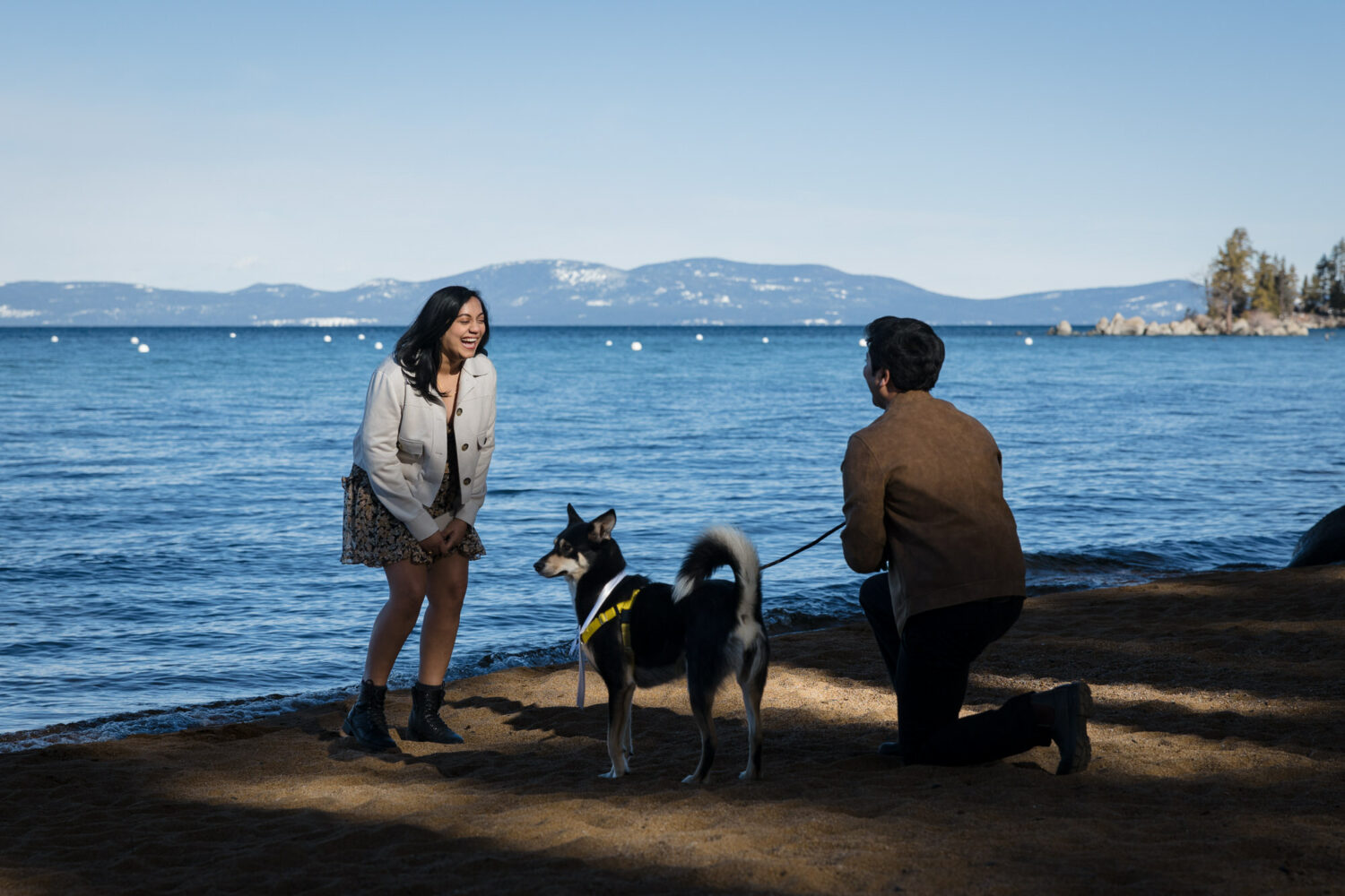 A surprise proposal on a beach in Lake Tahoe with a dog sign.