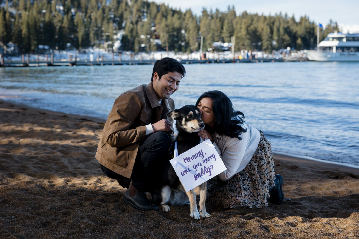 Dog wearing a pet proposal sign that reads, "Mommy, will you marry Daddy?"